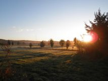 Działka rolna Gniła. Zdjęcie 1