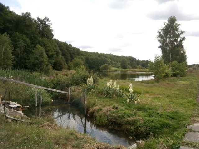 dom wolnostojący, 6 pokoi Krosno Odrzańskie. Zdjęcie 6