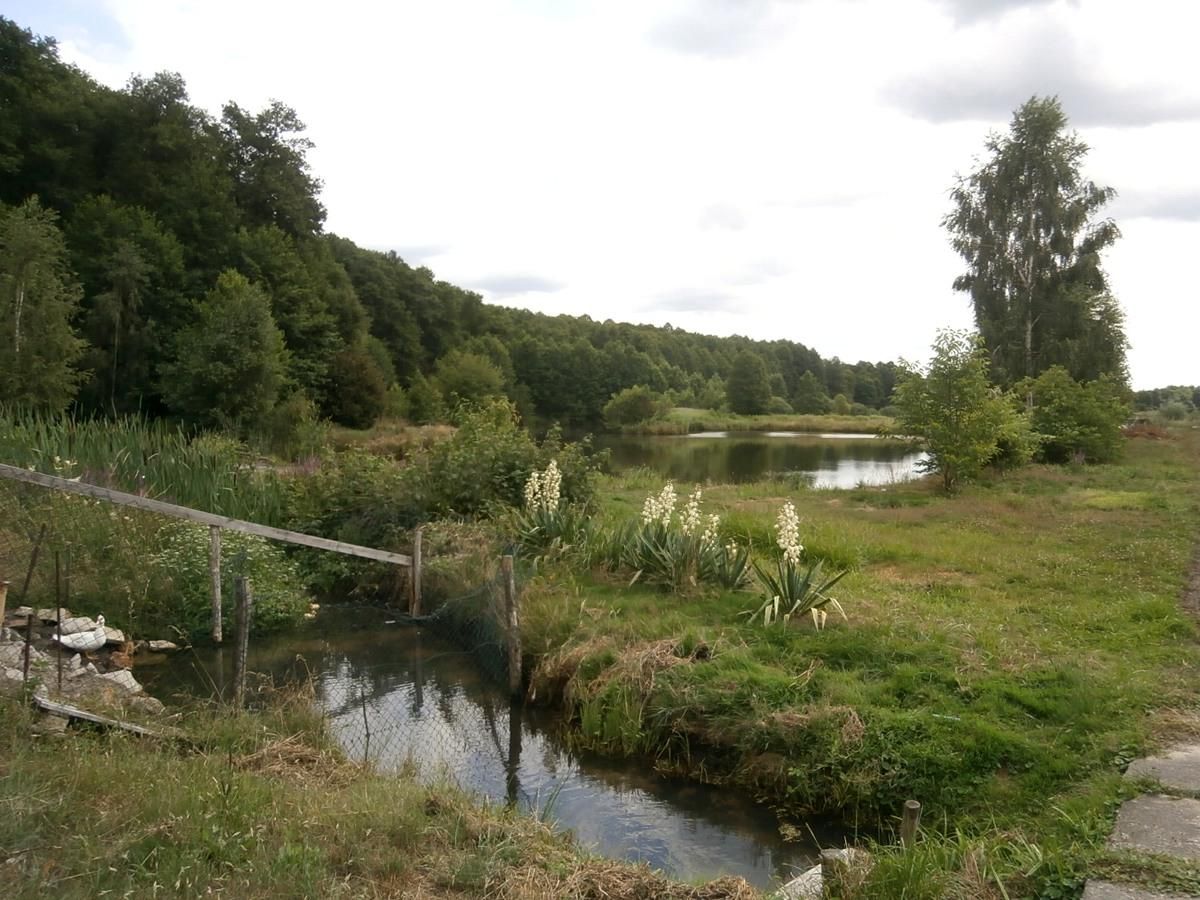 dom wolnostojący, 6 pokoi Zielona Góra. Zdjęcie 5