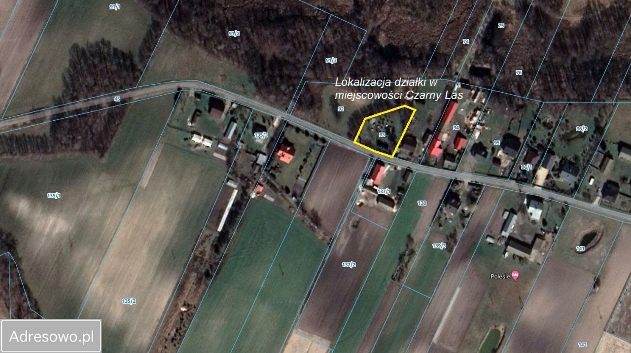 Działka rekreacyjna Czarny Las. Zdjęcie 5