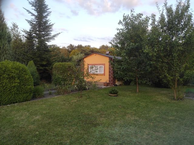 Działka rod Zabrze, ul. Malinowa. Zdjęcie 1