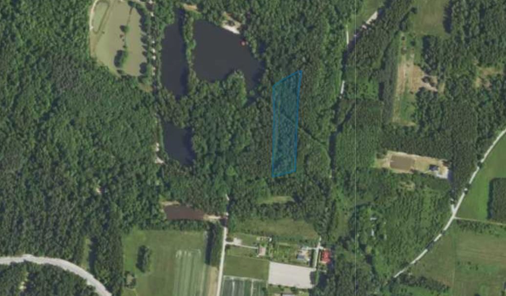 Działka inna Borek Mały Poręby. Zdjęcie 2