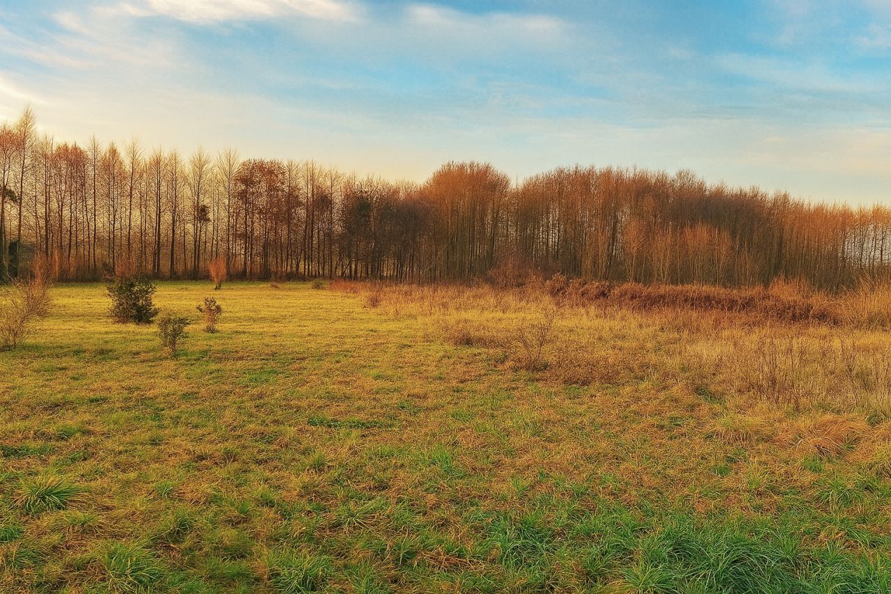 Działka budowlana Kikół, ul. Polna. Zdjęcie 7