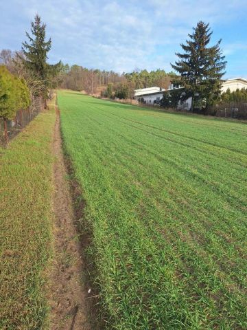 Działka rolna Dymaczewo Stare. Zdjęcie 1