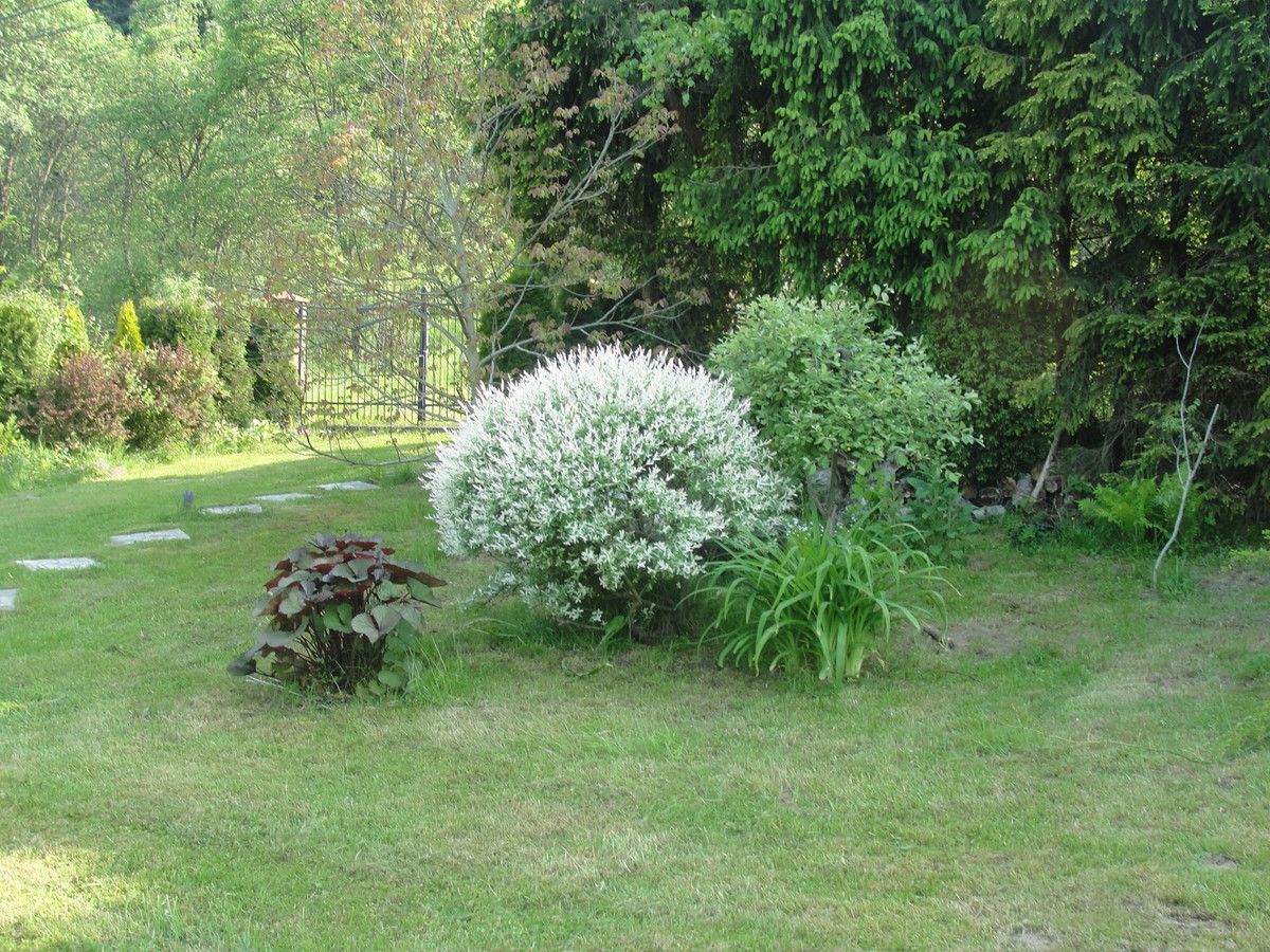 Działka budowlana Klimkówka. Zdjęcie 12