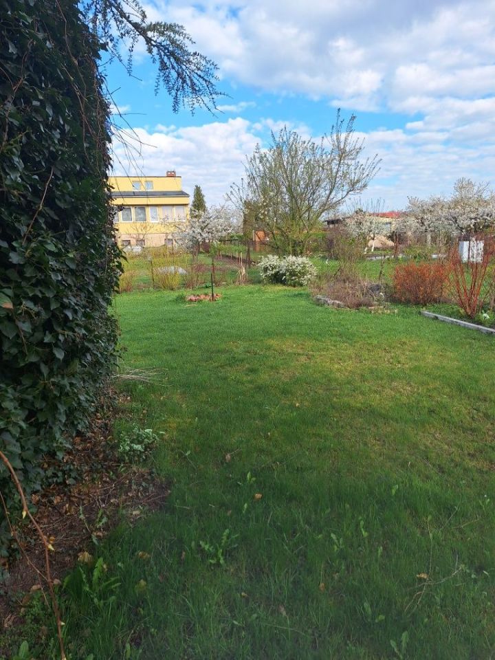 Działka rod Oleśnica, ul. Wileńska. Zdjęcie 3