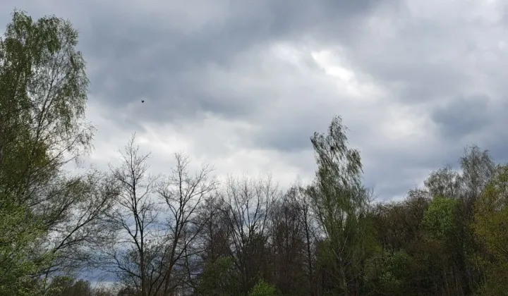 Działka budowlana Owczarnia