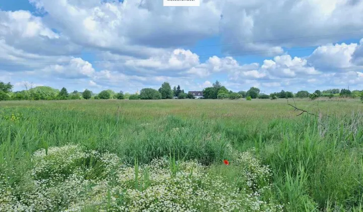 Działka budowlana Dębe Wielkie, ul. Polna