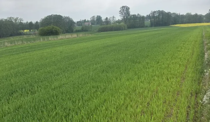 Działka rolna Strupice