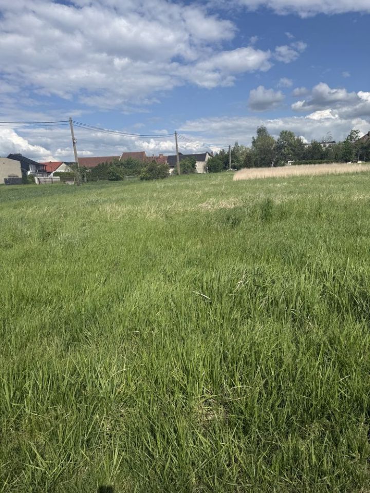 Działka budowlana Rogów Opolski. Zdjęcie 7