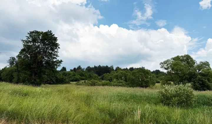 Działka budowlana Liskowate