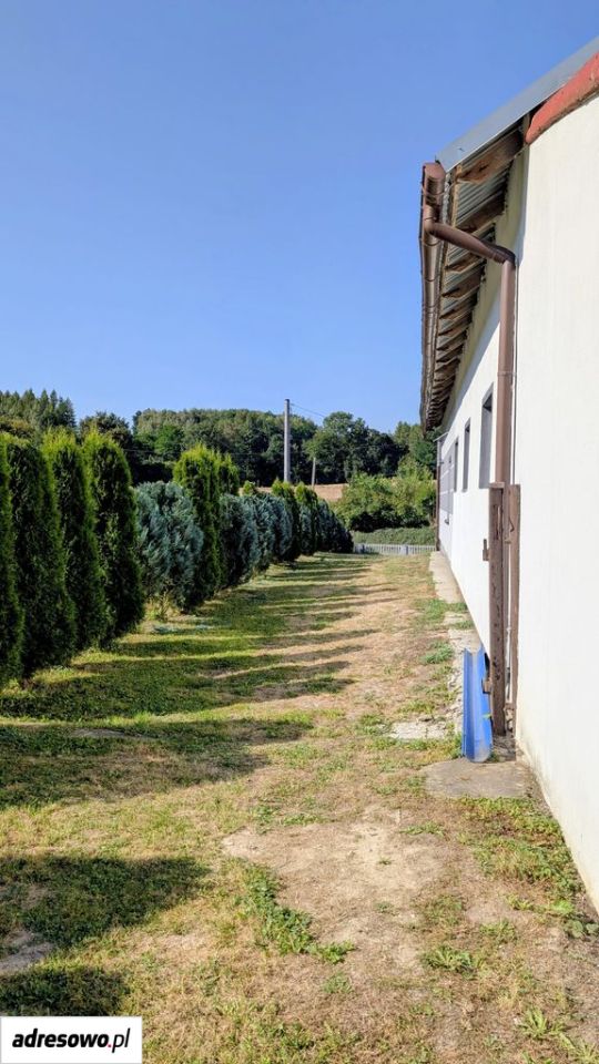dom wolnostojący, 3 pokoje Wolica. Zdjęcie 11