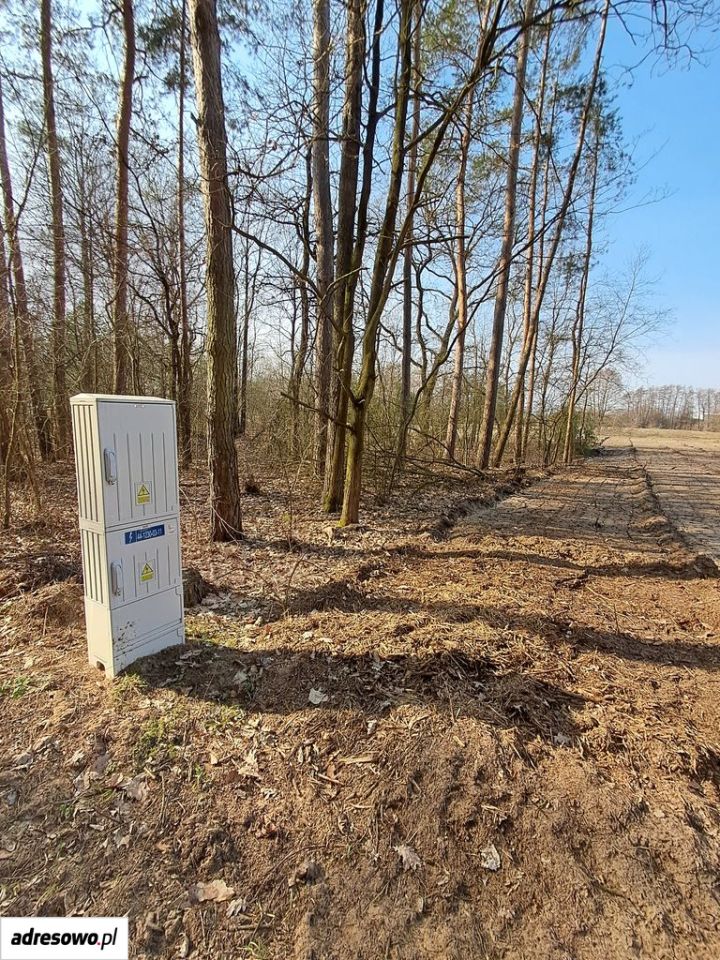 Działka rolno-budowlana Nowy Kozłów Drugi. Zdjęcie 3