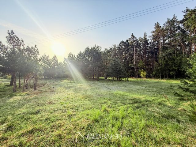 Działka Smołdzino. Zdjęcie 2