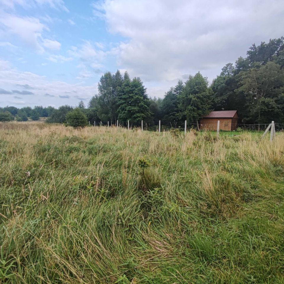 Działka budowlana Smolne. Zdjęcie 6