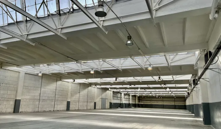 Hala/magazyn Łódź Teofilów, ul. Wersalska