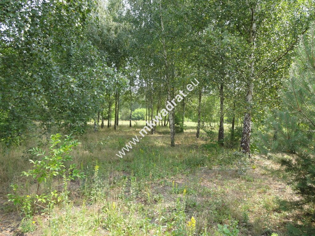 Działka budowlana Ojrzanów. Zdjęcie 1