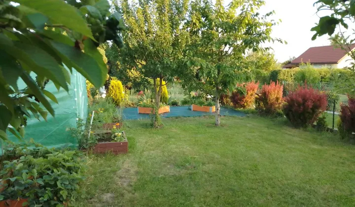 Działka rod Świdnik, ul. Działkowca