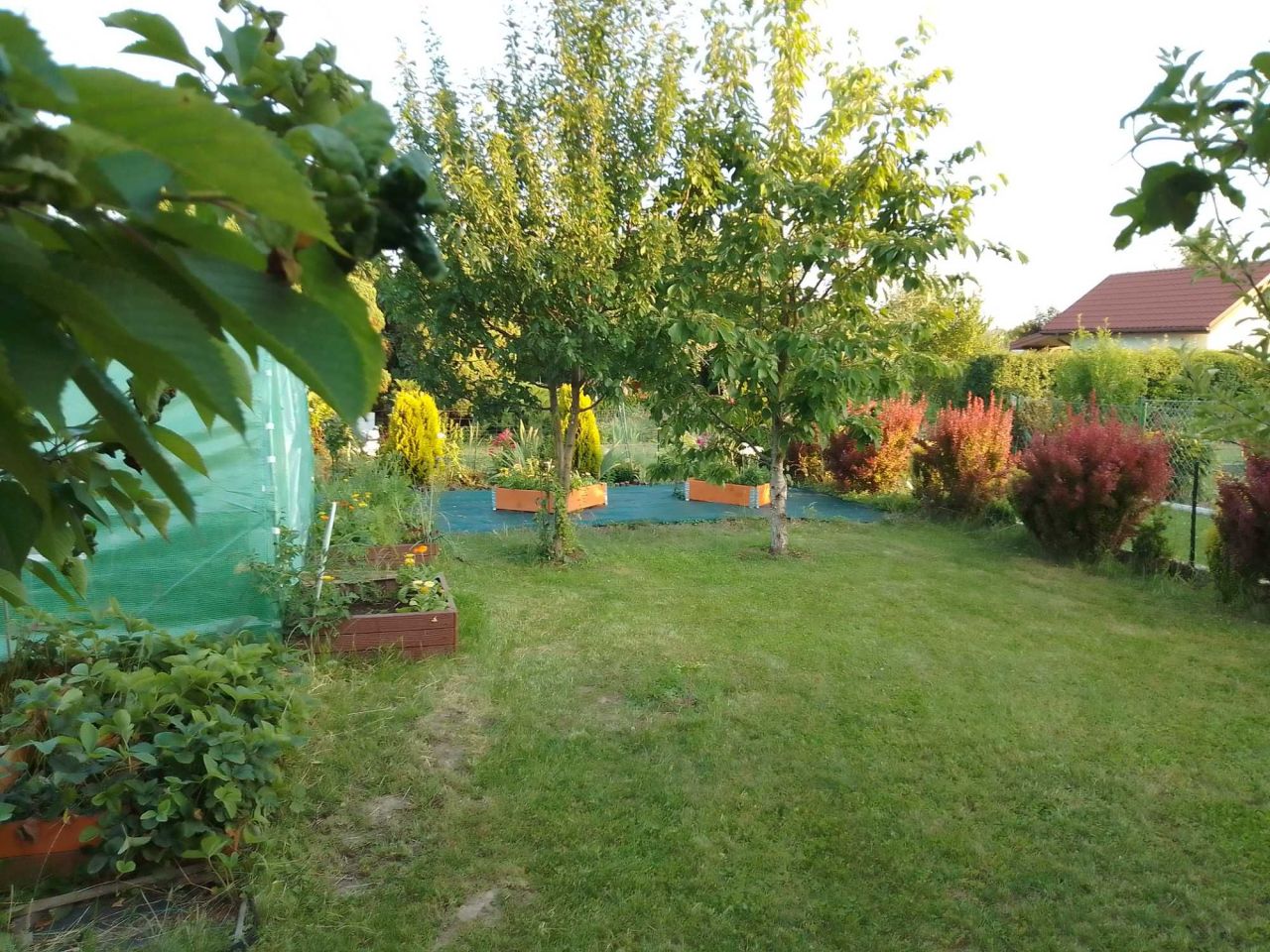 Działka rod Świdnik, ul. Działkowca. Zdjęcie 1