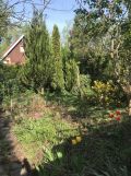Działka rod Warszawa Włochy, ul. Ogrodników. Zdjęcie 2