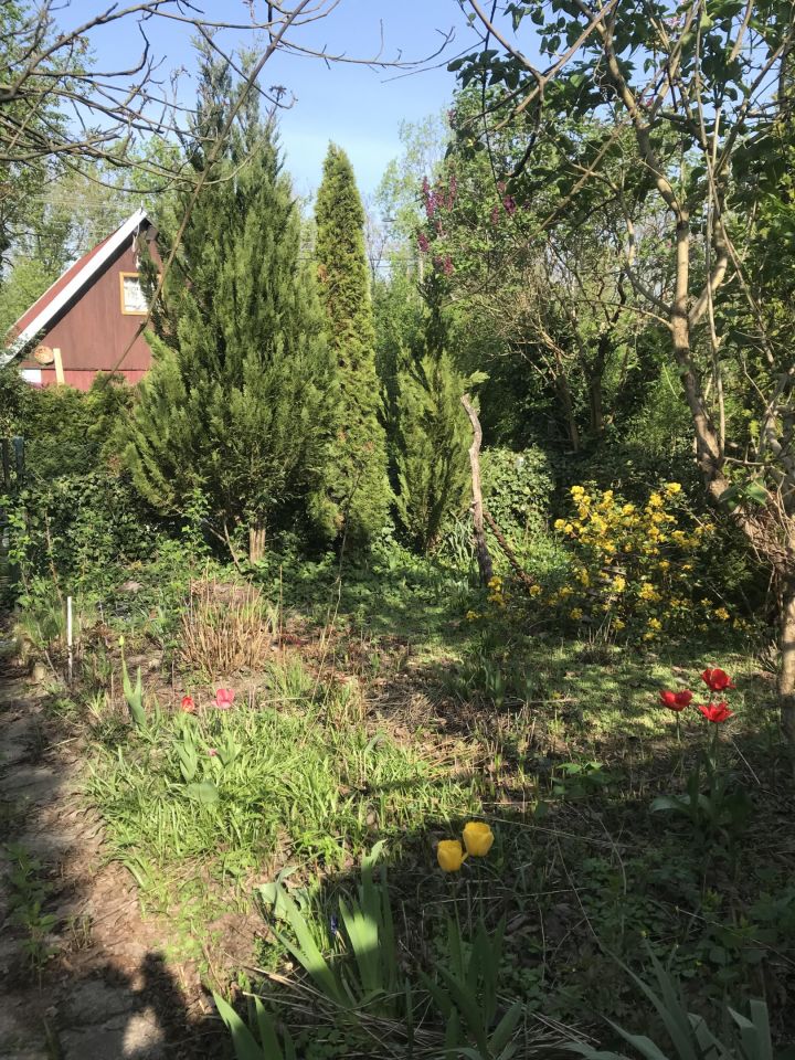 Działka rod Warszawa Włochy, ul. Ogrodników. Zdjęcie 3