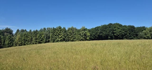 Działka rekreacyjna Sasino, ul. Stara Cegielnia. Zdjęcie 2