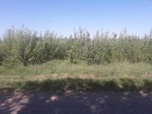 Działka rolna Ponikiew Mała. Zdjęcie 4