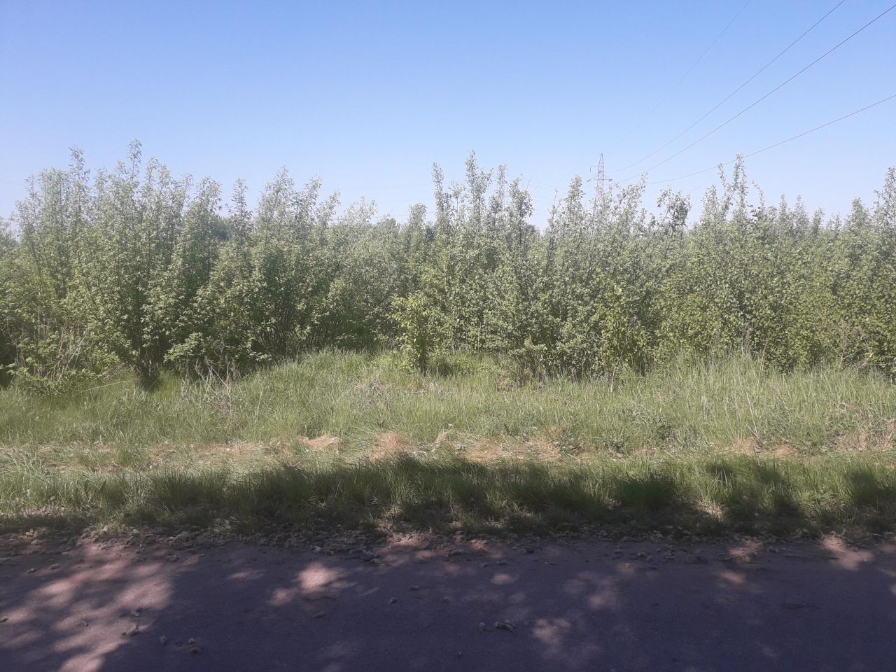 Działka rolna Ponikiew Mała. Zdjęcie 5