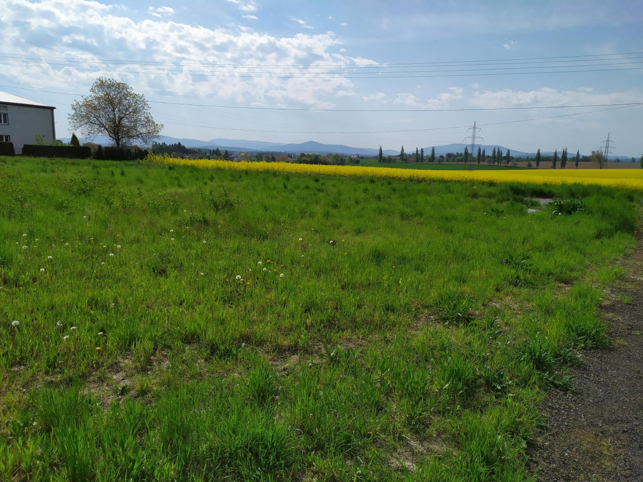 Działka budowlana Kończyce Małe, ul. Wiśniowa