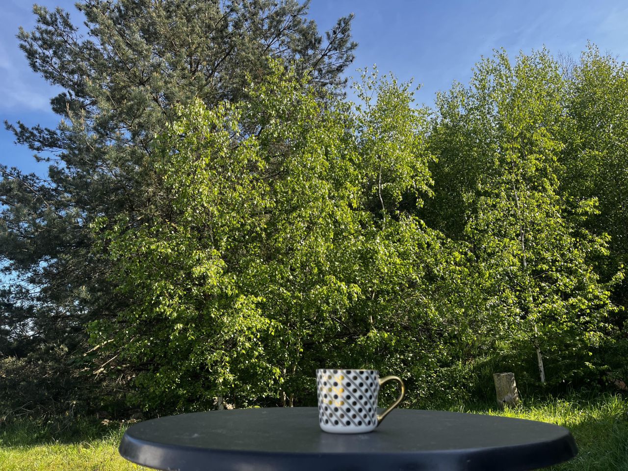 dom wolnostojący, 5 pokoi Boluminek, ul. Akacjowa. Zdjęcie 4