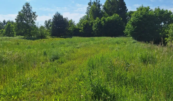 Działka budowlana Poręba Krawce, ul. Główna