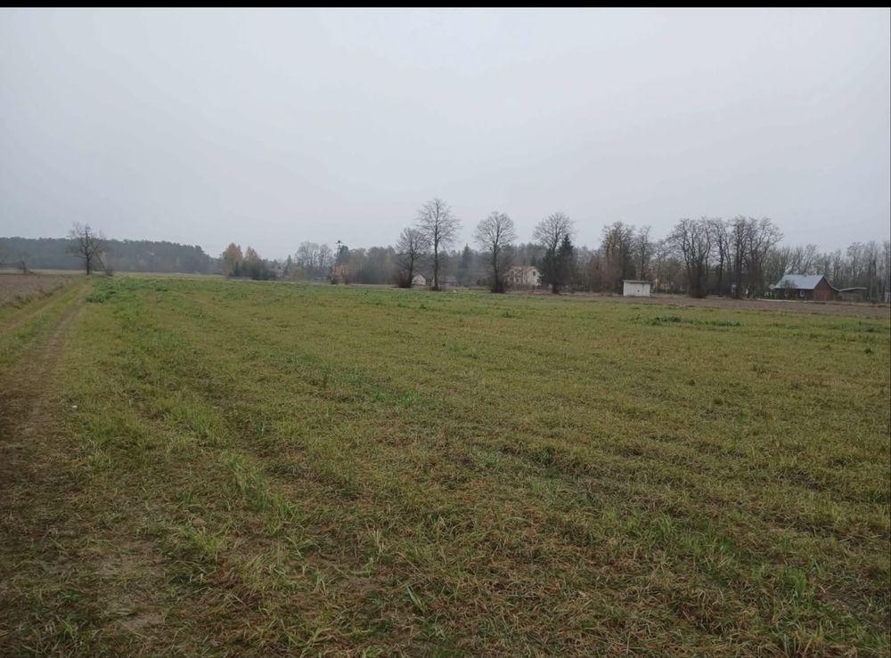 Działka budowlana Nowy Sielc. Zdjęcie 1