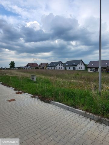 Działka budowlana Sulnowo, ul. Świerkowa. Zdjęcie 1