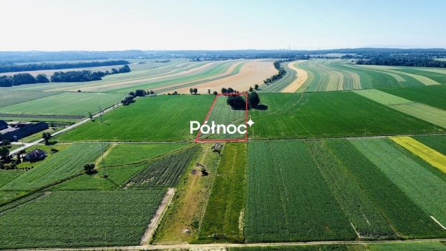 Działka rolna Chudów, ul. Szkolna. Zdjęcie 5