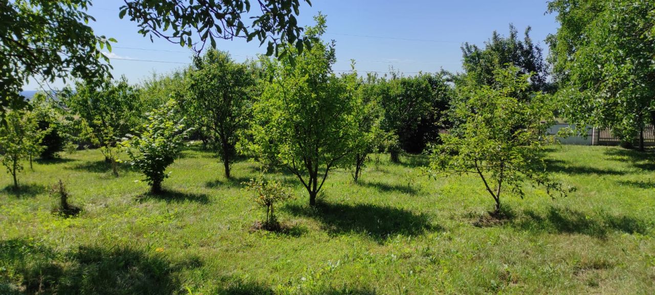 Działka inwestycyjna Suków Borki. Zdjęcie 16