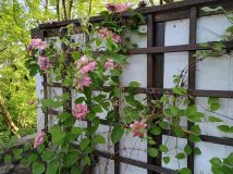 Działka rod Bytom Szombierki, ul. Zabrzańska. Zdjęcie 3