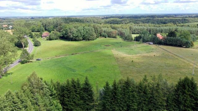 Działka budowlana Więcki. Zdjęcie 4