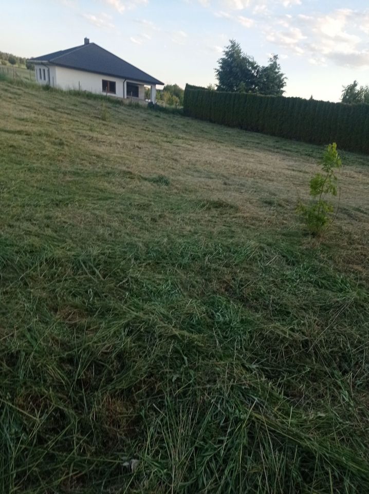 Działka budowlana Prawiedniki-Kolonia. Zdjęcie 6