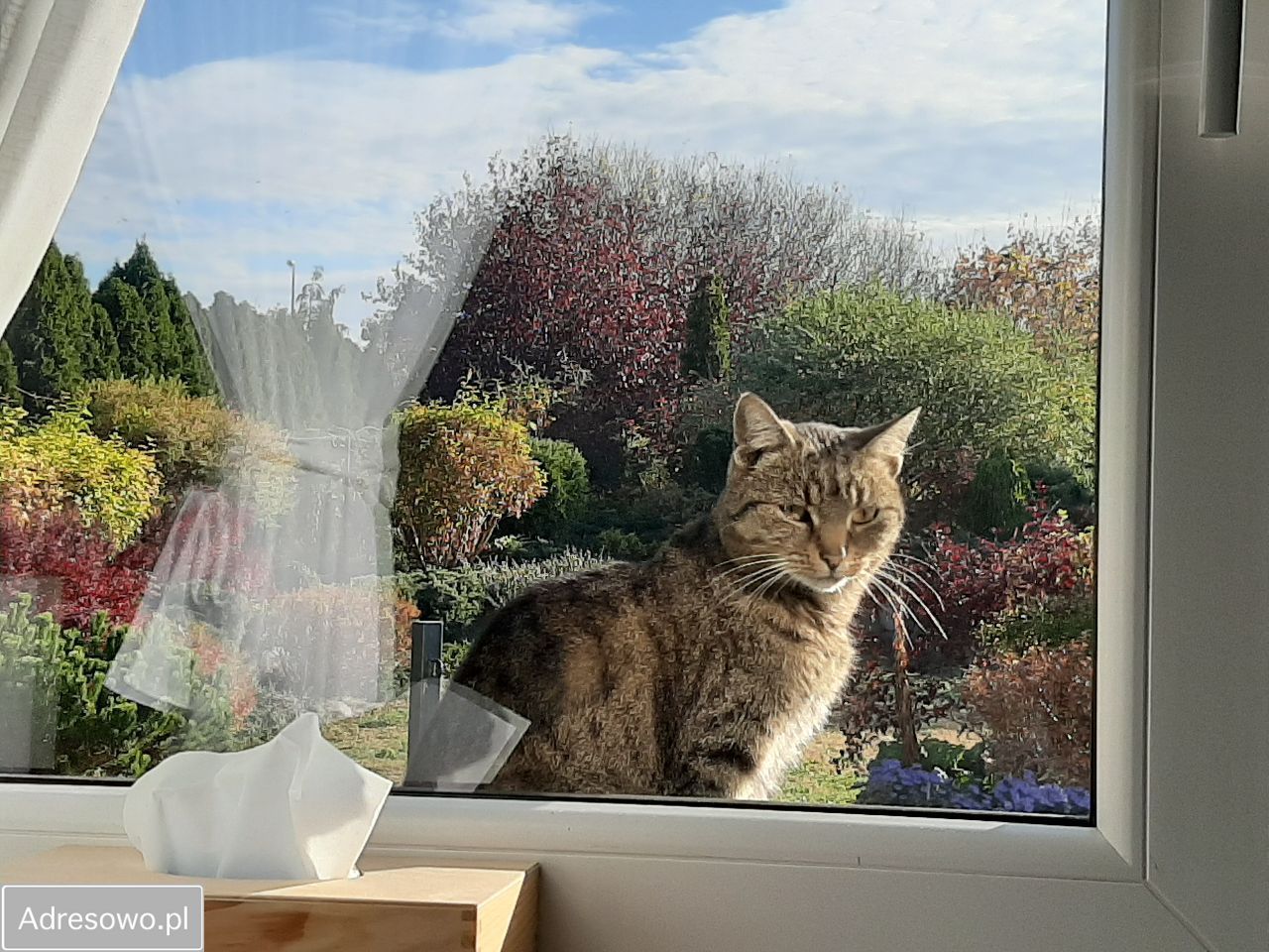 dom wolnostojący, 4 pokoje Leszno, ul. Rycerska. Zdjęcie 19