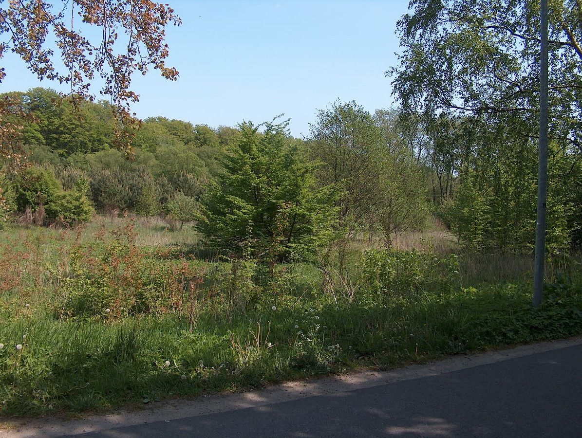 Działka budowlana Włynkówko, ul. Aleja nad Rzeką. Zdjęcie 2