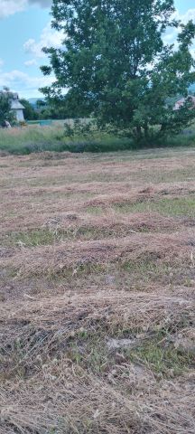 Działka budowlana Osobnica Skała. Zdjęcie 1