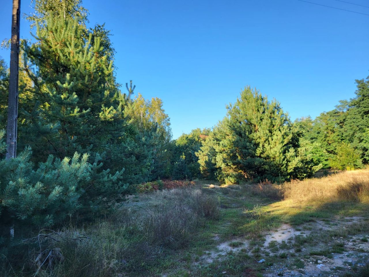 Działka rolna Borszyce. Zdjęcie 4