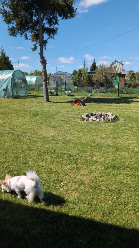 Działka rod Nowy Dwór Gdański. Zdjęcie 3