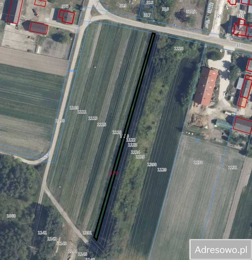 Działka leśna Chlewska Wola. Zdjęcie 2