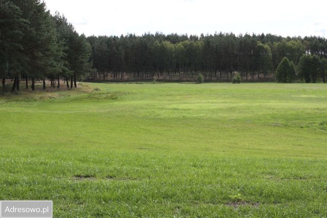 Działka inwestycyjna Przechlewko. Zdjęcie 1