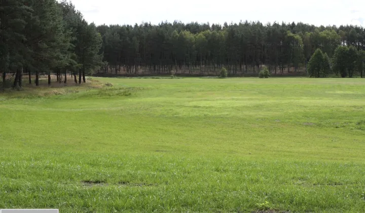Działka inwestycyjna Przechlewko
