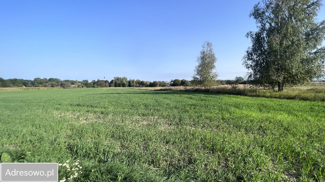 Działka rolno-budowlana Dorohusk-Osada, ul. Wierzbowa. Zdjęcie 9