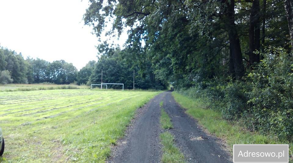 Działka rolna Kłomnice. Zdjęcie 5