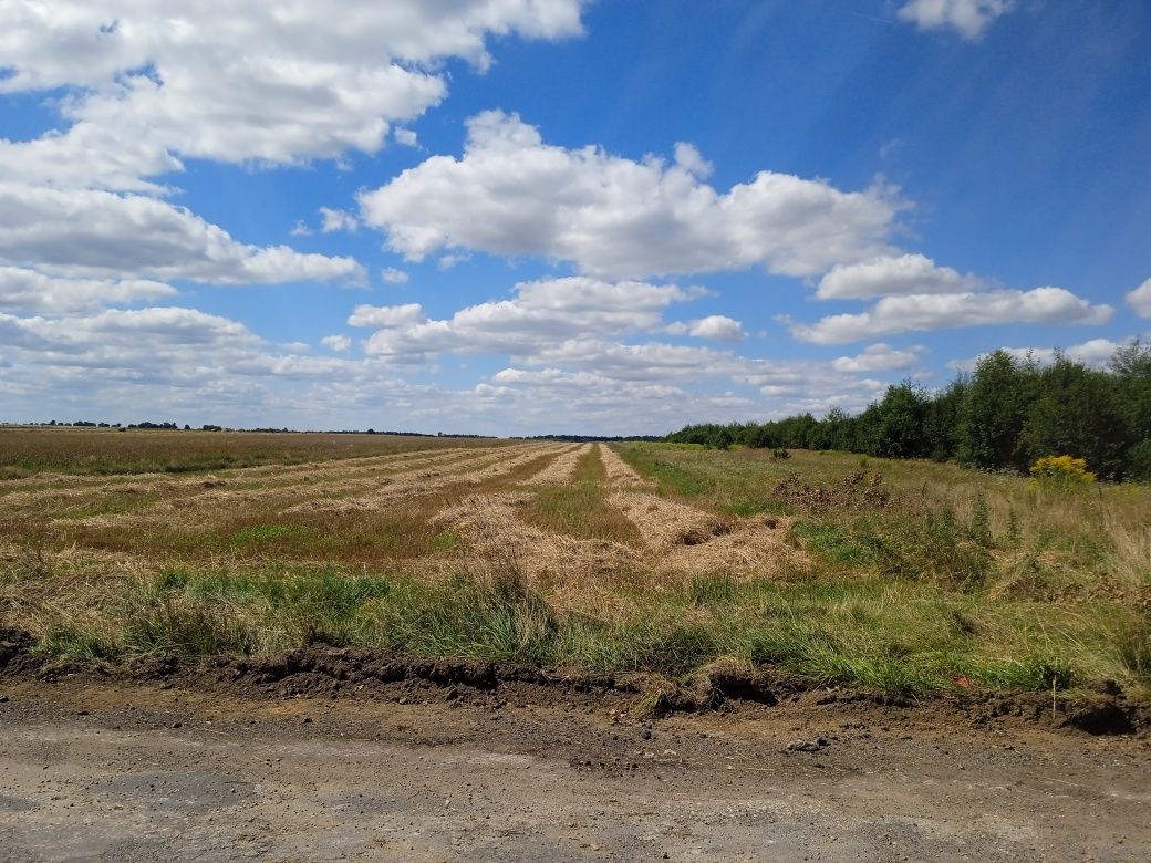 Działka rolno-budowlana Parczów. Zdjęcie 6