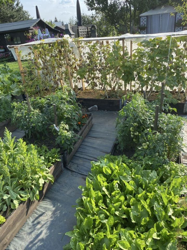 Działka rod Wrocław Fabryczna, ul. Klecińska. Zdjęcie 4